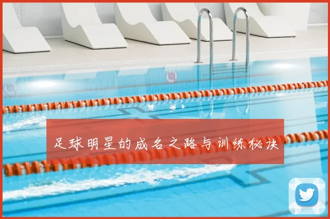足球明星的成名之路与训练秘诀